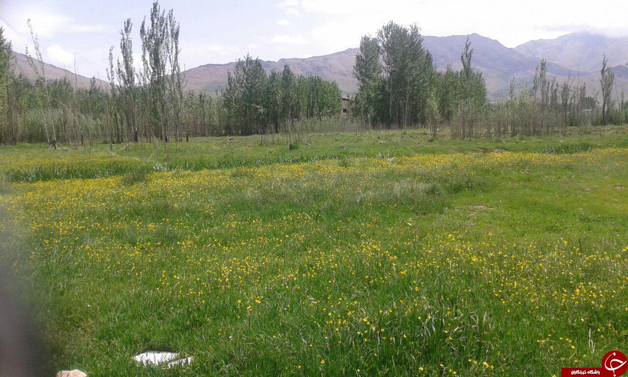 تصاویری از روستای سرسبز &laquo;کران&raquo;