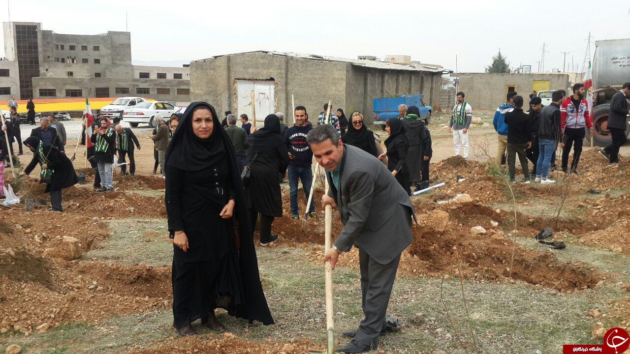 کاشت نهال در شهرستان های کرمانشاه در هفته منابع طبیعی کاشت نهال در شهرستان های کرمانشاه در هفته منابع طبیعی