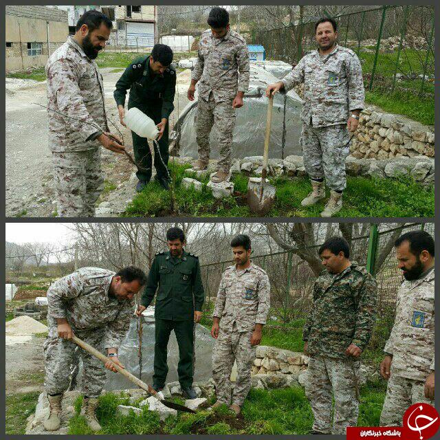 کاشت نهال در شهرستان های کرمانشاه در هفته منابع طبیعی کاشت نهال در شهرستان های کرمانشاه در هفته منابع طبیعی