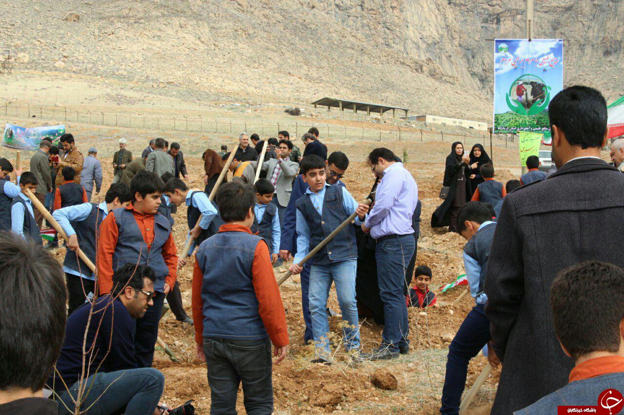 کاشت نهال در شهرستان های کرمانشاه در هفته منابع طبیعی+ تصاویر