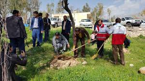 کاشت ۶۵ نهال به یاد مسافران پرواز آسمان در سی سخت