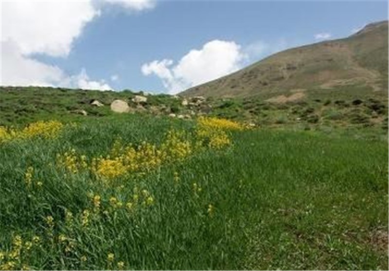 ۹۵۳ هکتار از اراضی ملی استان از دست متصرفان خارج شد