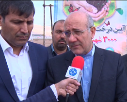 کاشت ۶۰ هزار اصله نهال در استان سمنان