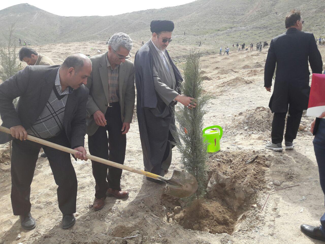 روز درختکاری بهانه&zwnj;ای برای احترام به محیط زیست