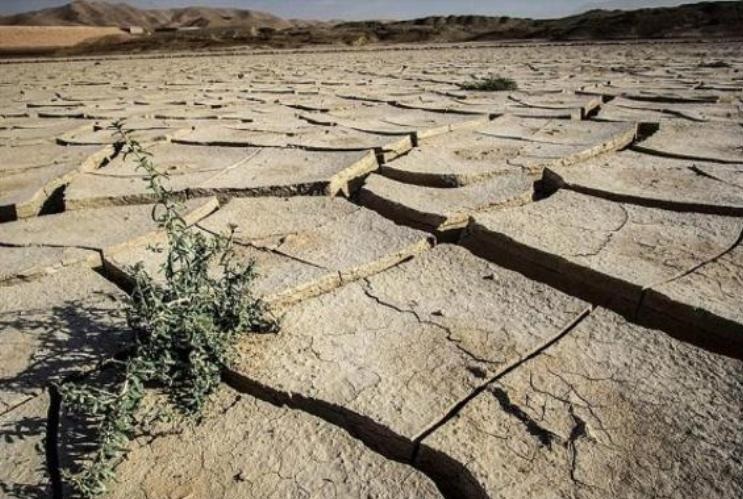دشت&zwnj;های آبی بوشهر هر روز تشنه&zwnj;تر از دیروز