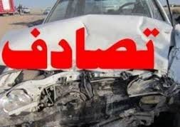 راننده ای که جوان بوشهری را به کما برد و در رفت!