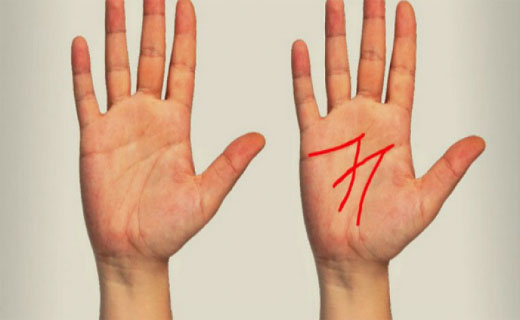 معنی خط ثروت کف دست شما چیست؟