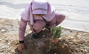 یاد شهدا سبز می شود