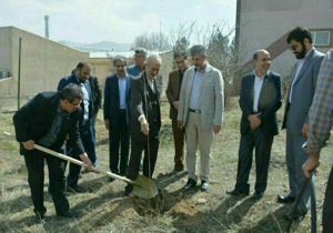 غرس کاری یک هزار اصله نهال در پردیس دانشگاه علوم پزشکی کردستان