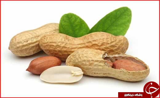 بادام زمینی سفر به سرسبزترین و زیباترین استان کشور در ایام نوروز