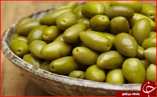 زیتون سفر به سرسبزترین و زیباترین استان کشور در ایام نوروز