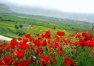 استان خوزستان، میزبانی بی‌نظیر برای مسافران نوروزی + فیلم