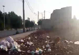 تلنبار شدن زباله‌ها در "کوت شیخ" خرمشهر + فیلم
