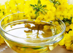 هرآنچه درمورد روغن کانولا باید بدانید