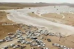 سیل خروشانی که خودروها را با خود برد + فیلم