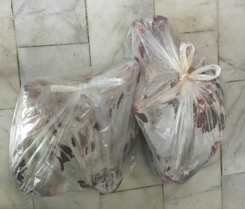کشف لاشه قوچ وحشی در قنادی شرق تهران