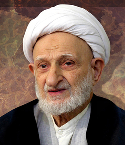 تصویری کمتر دیده شده از آیت&zwnj; الله بهجت (ره)