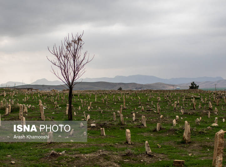 تصویری دردناک و تامل برانگیز از قبرستان قربانیان زلزله سرپل ذهاب تصویری دردناک و تامل برانگیز از قبرستان قربانیان زلزله سرپل ذهاب
