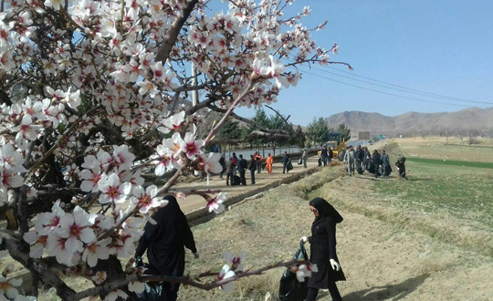 تصاویر پاکسازی طبیعت در طرح استقبال از بهار