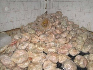 کشف هزار و ۲۰۰ کیلو کله پاچه غیر بهداشتی در شازند