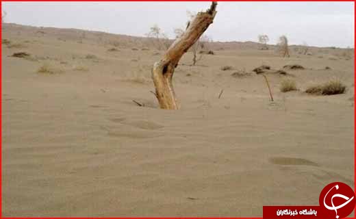 بیرجند