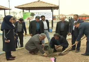 غرس ۴۵۰ اصله نهال در پایانه مسافربری یزد