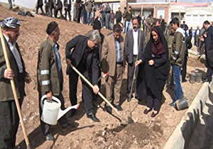 غرس چندصد نهال در مهاباد در پنجمین روز هفته منابع طبیعی