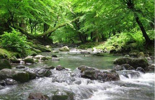 تنها آبشار خزه&lrm;ای جهان در بهشت جنگل&zwnj;های گلستان ////دیوی نوروز
