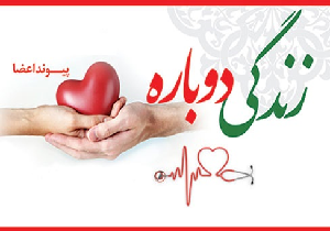 اهدا عضو، اهدا زندگی