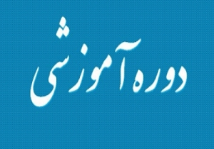 برگزاری دوره آموزشی آماده سازی شغلی ویژه معلولان در تفت