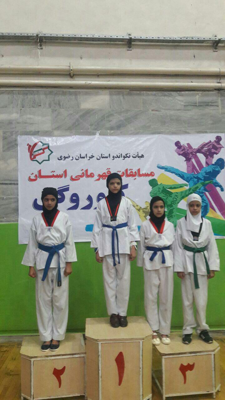 رزمی کاران چناران در مسابقات استانی خوش درخشیدند