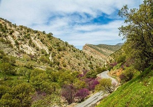 وجود 6 ذخیره گاه جنگلی در استان سمنان