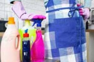 4 جرم&zwnj;گیر طبیعی برای خانه تکانی +دستورالعمل
