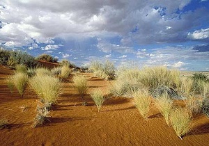 عملیات بیابان زدایی در اراضی بیابانی استان سمنان اجرا خواهد شد