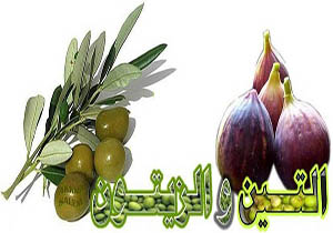 طرح «والتین و الزیتون» در لرستان اجرا می شود