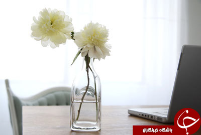 گل گیاهی که از چاقی جلوگیری می&zwnj;کنند