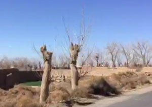 نابودی منابع طبیعی در روستای ده‌آباد + فیلم