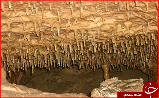 سفر به سرزمین طبیعت، تاریخ و فرهنگ