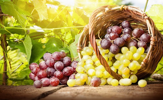 چگونه پوستی جوان و شاداب داشته باشیم؟/ موثرترین نسخه&zwnj;های طبیعی برای جوانسازی پوست