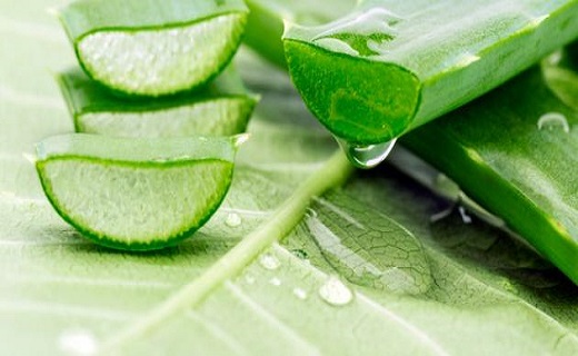 چگونه پوستی جوان و شاداب داشته باشیم؟/ موثرترین نسخه&zwnj;های طبیعی برای جوانسازی پوست