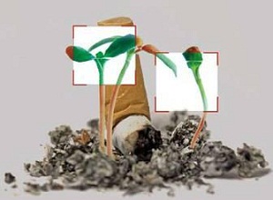 تلاش برای اشتغال رها یافتگان از اعتیاد