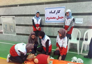 درخشش دانش آموزان دبیرستانی امیدیه در طرح ملی دادرس