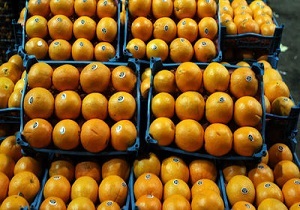 توزیع میوه شب عید در ۲۸ غرفه سطح شهر