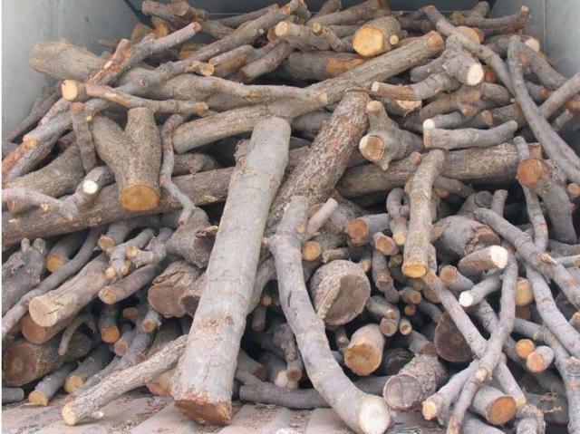 کشف ۱۰ تن چوب قاچاق در داورزن