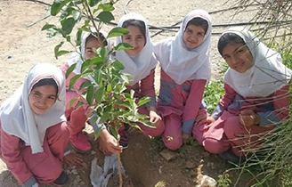 همیاران  طبیعت مانعی بزرگ بر سر راه قاچاقچیان چوب