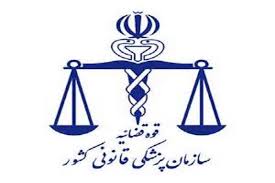 تشخیص هویت جانباختگان سقوط هواپیمای ترکیه ای در ایران انجام می شود