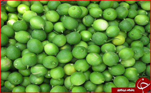 سفر به پایتخت فرهنگی و تاریخی ایران در ایام نوروز