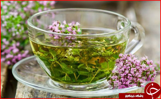 سفر به پایتخت فرهنگی و تاریخی ایران در ایام نوروز
