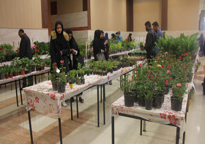 نمایشگاه گل، گیاهان زینتی و آپارتمانی در دانشگاه شهرکرد