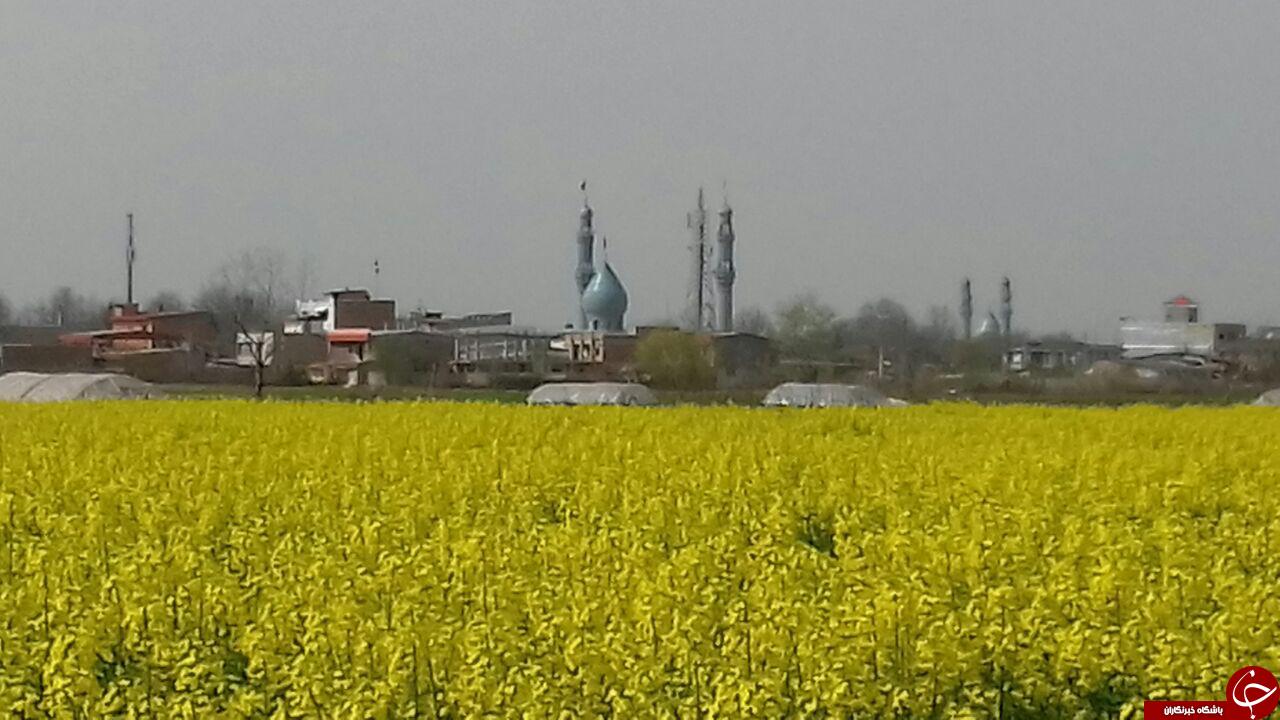 چشم&zwnj;اندازی از مزرعه گلزار در خان&zwnj;ببین + تصاویر